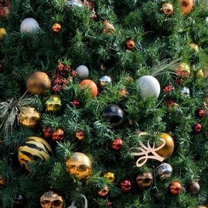 Meet your Posher, Gloria